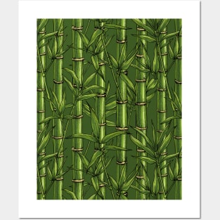 Bamboo forest in green Posters and Art